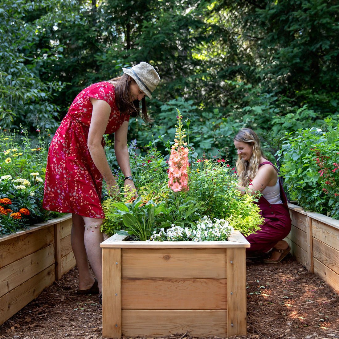 Natural Cedar Raised Garden Beds 2' 2' option3