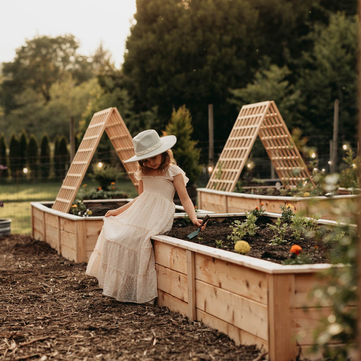 Natural Cedar Raised Garden Beds 2' 2' option3