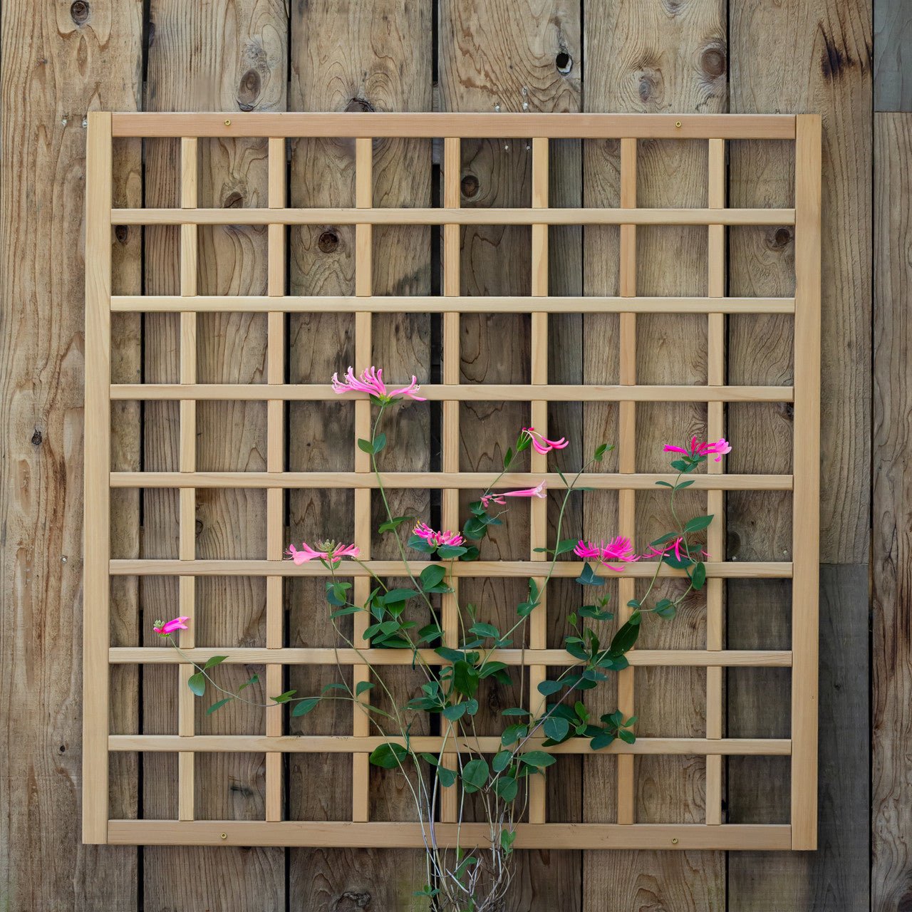 Natural Cedar Wall Mounted Trellises 18" 36"