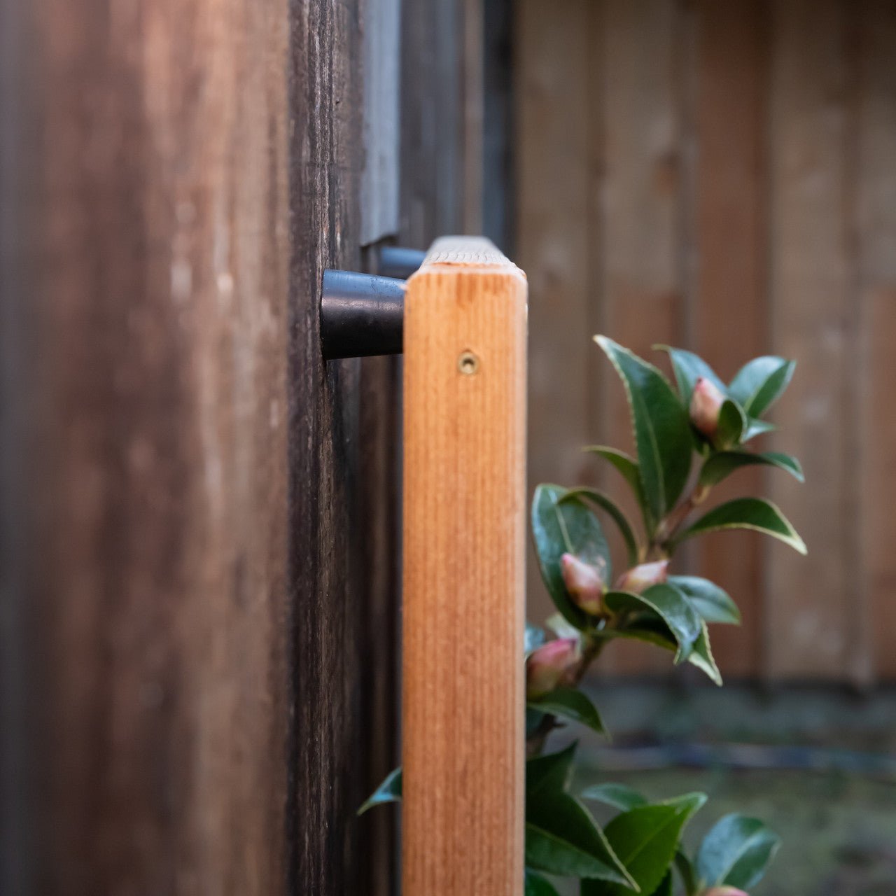 Natural Cedar Wall Mounted Trellises 18" 36"