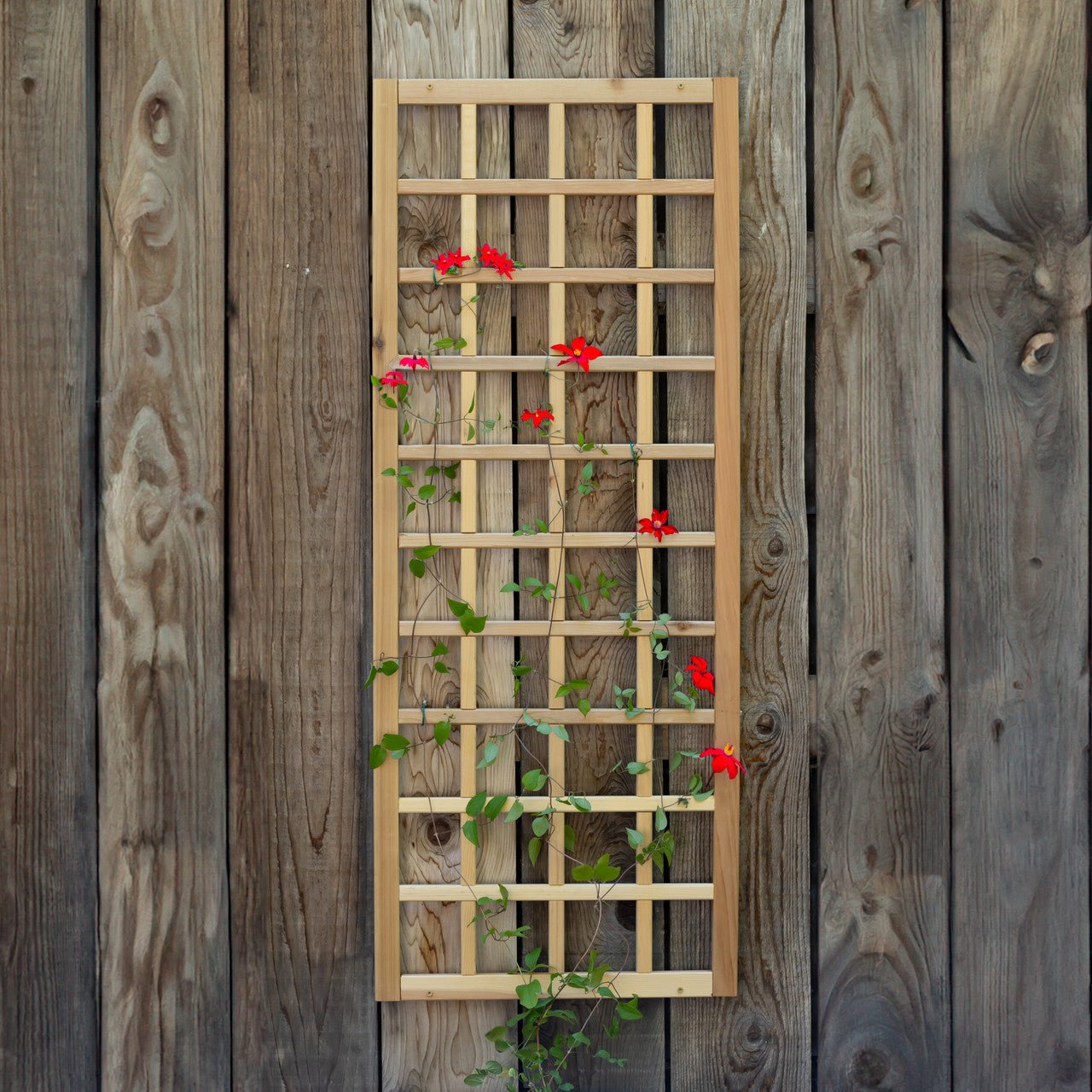 Natural Cedar Wall Mounted Trellises 18" 36"