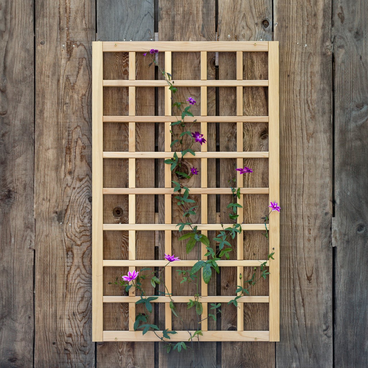 Natural Cedar Wall Mounted Trellises 18" 36"