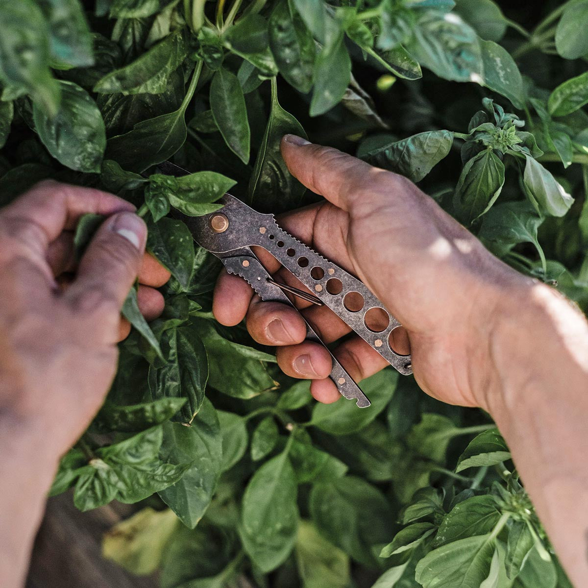 Herb Harvest and Strip Garden Tool