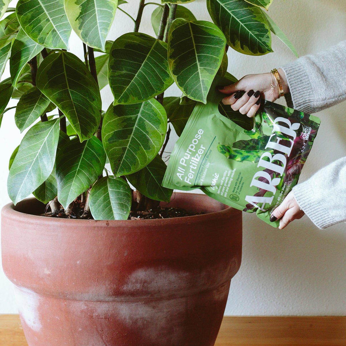 Organic All Purpose Fertilizer - 3 lbs Granulated Fertilizer