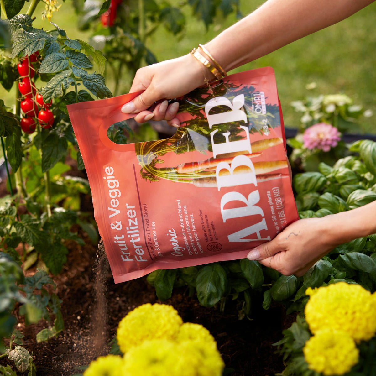 Organic Fruit & Vegetable Plant Food - 3 lbs Granulated Fertilizer