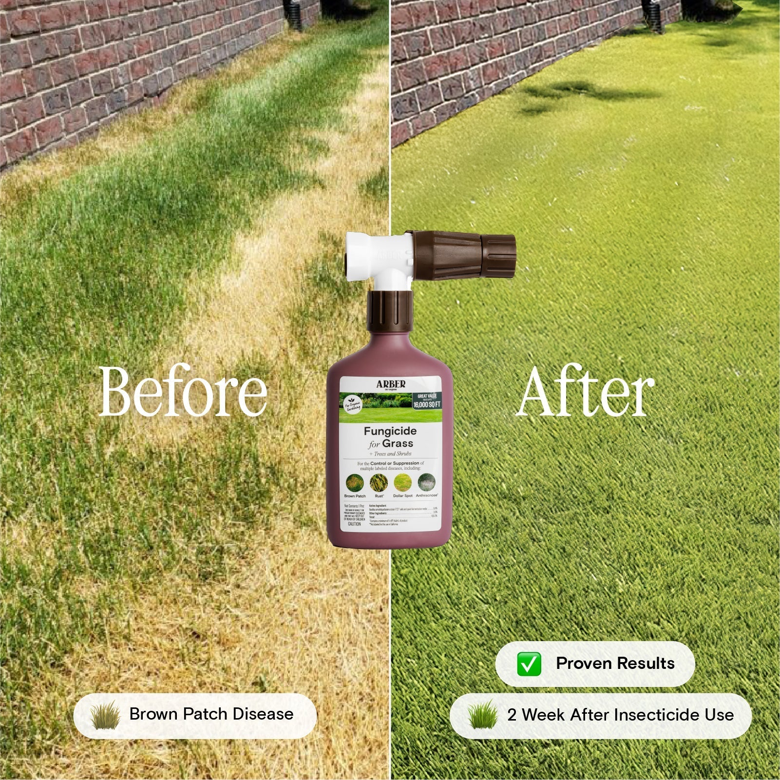 Organic Fungicide for Grass, Trees & Shrubs – 16 oz Concentrate