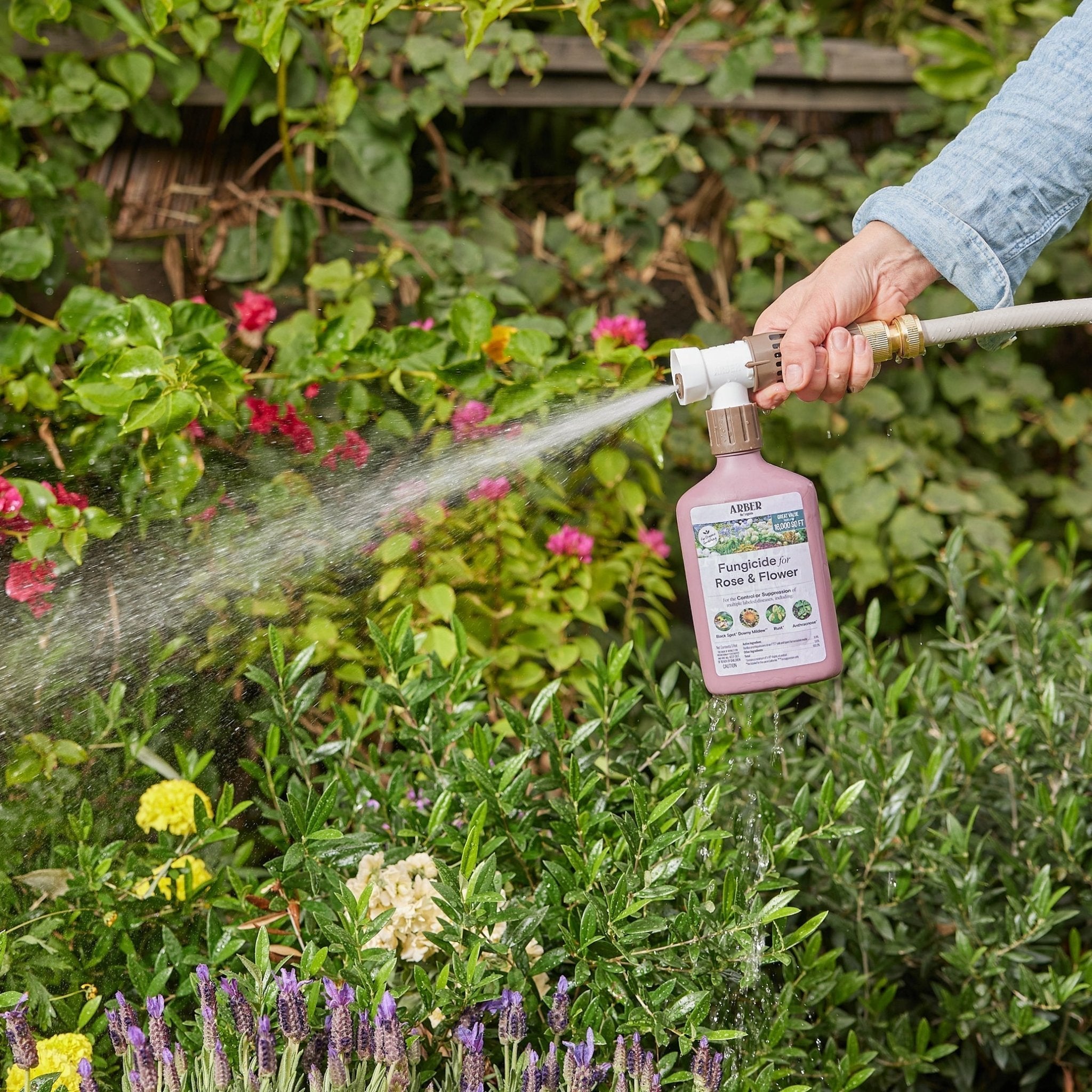 Organic Fungicide for Roses & Flowering Plants – 16 oz Concentrate