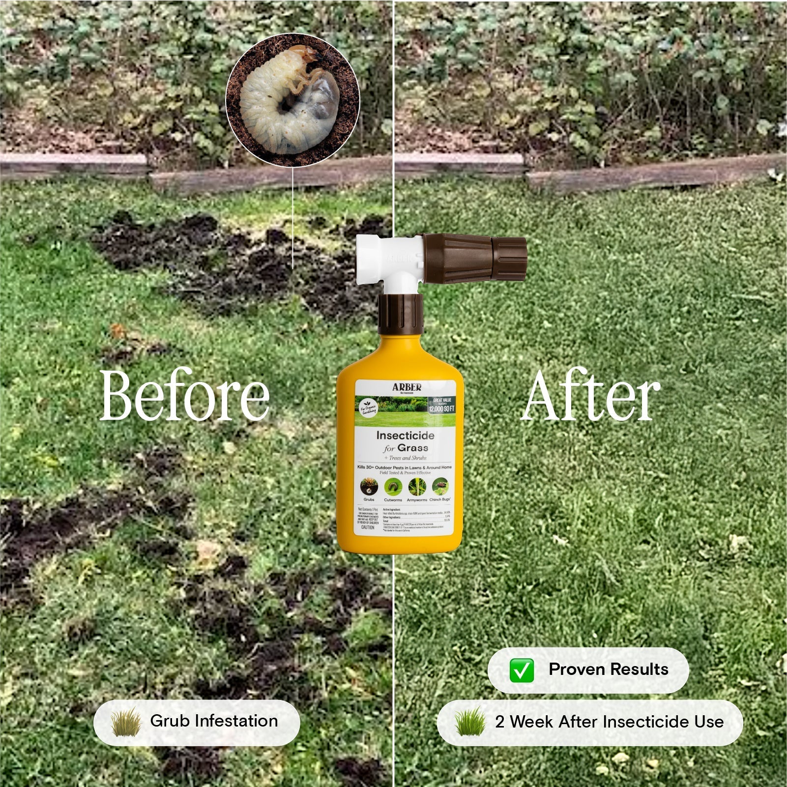Organic Insecticide for Grass, Trees & Shrubs – 16 oz Concentrate