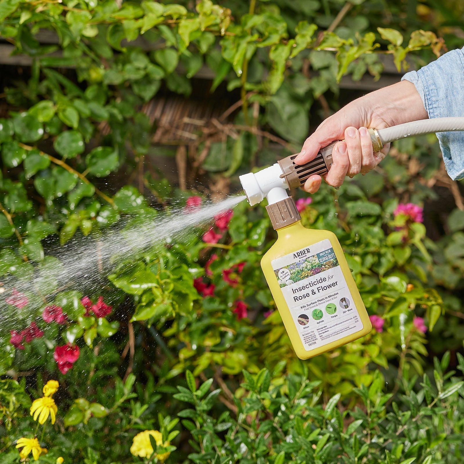 Organic Insecticide for Roses & Flowering Plants – 16 oz Concentrate option3