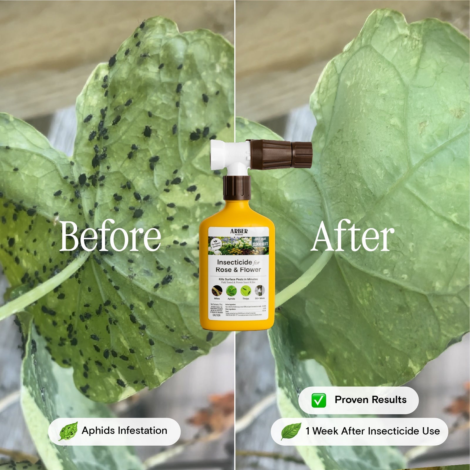 Organic Insecticide for Roses & Flowering Plants – 16 oz Concentrate