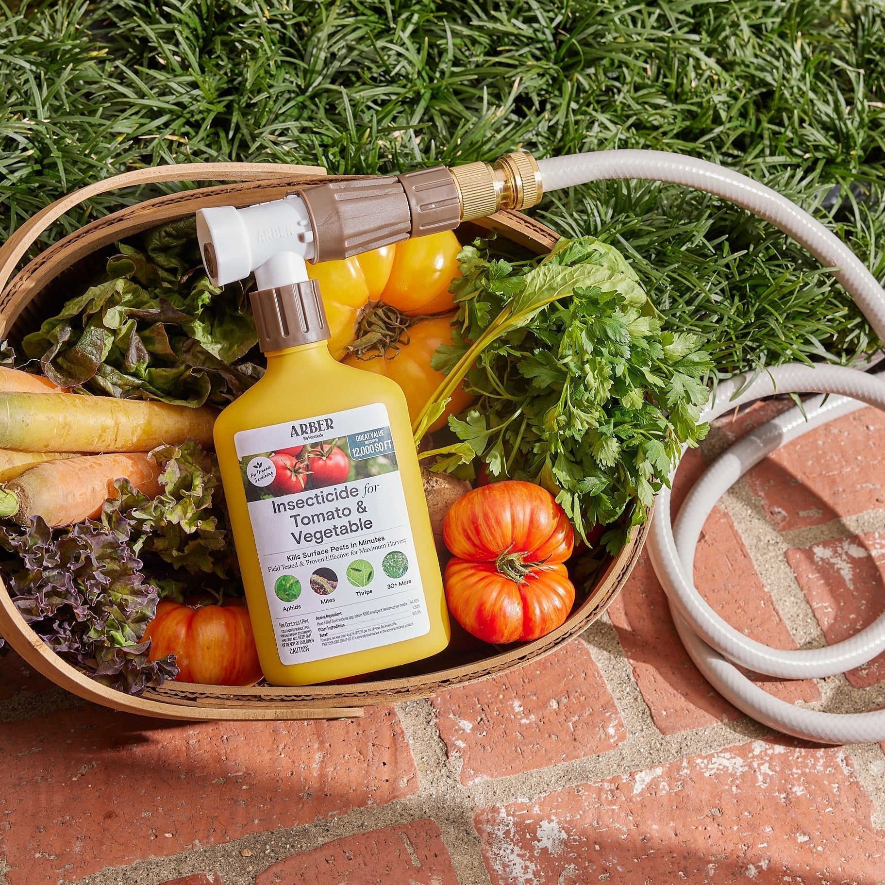 Organic Insecticide for Vegetable Gardens – 16 oz Concentrate option3
