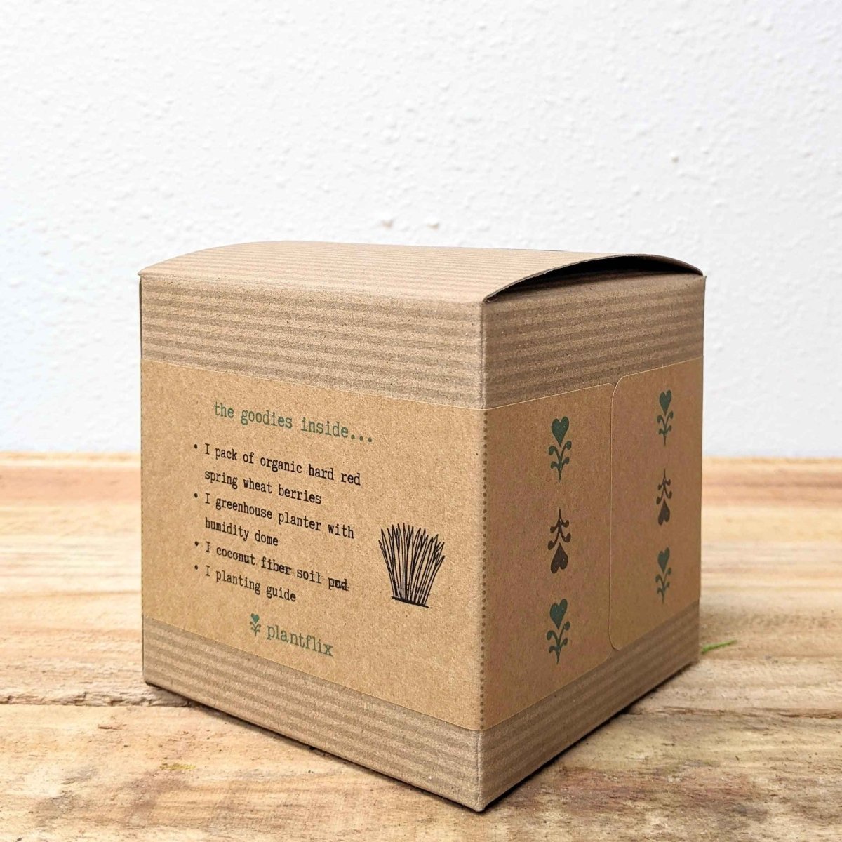 Pet Grass Grow Kit — Organic Wheatgrass for Cats & Dogs