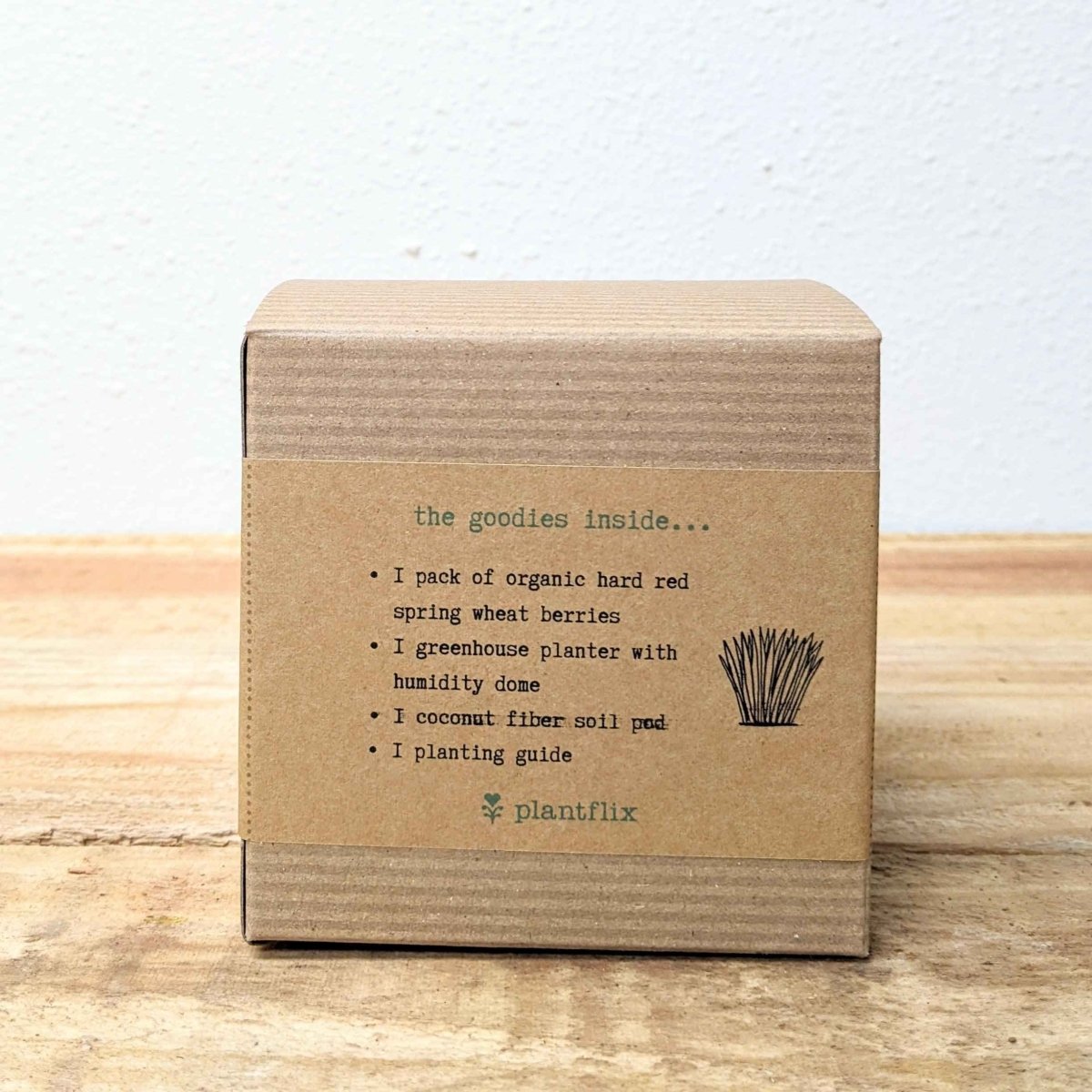 Pet Grass Grow Kit — Organic Wheatgrass for Cats & Dogs