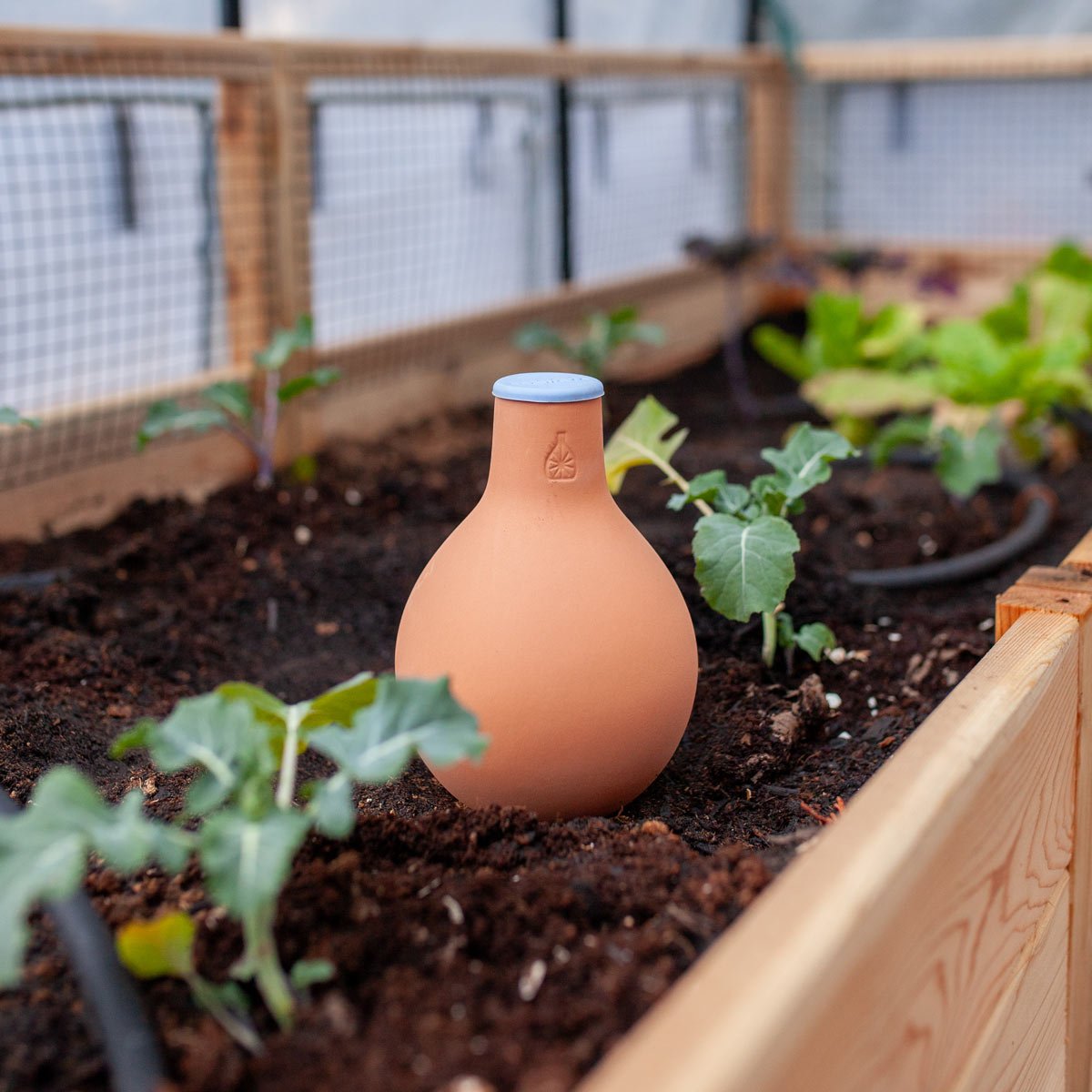 Oya Clay Watering Vessel Small (1L)