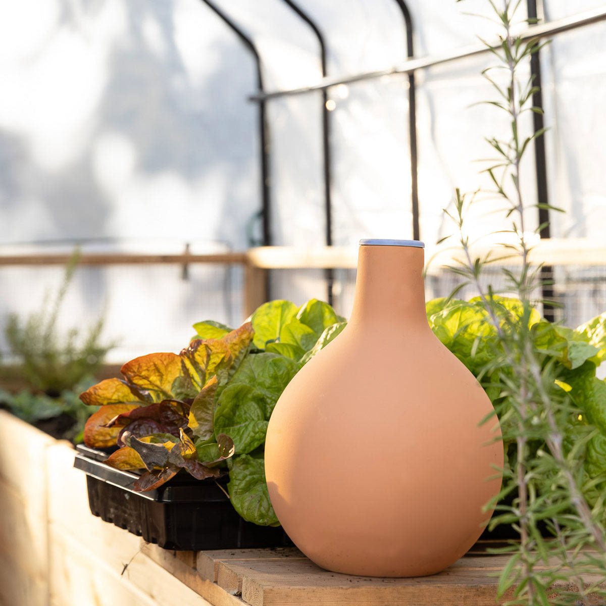 Oya Clay Watering Vessel Small (1L)
