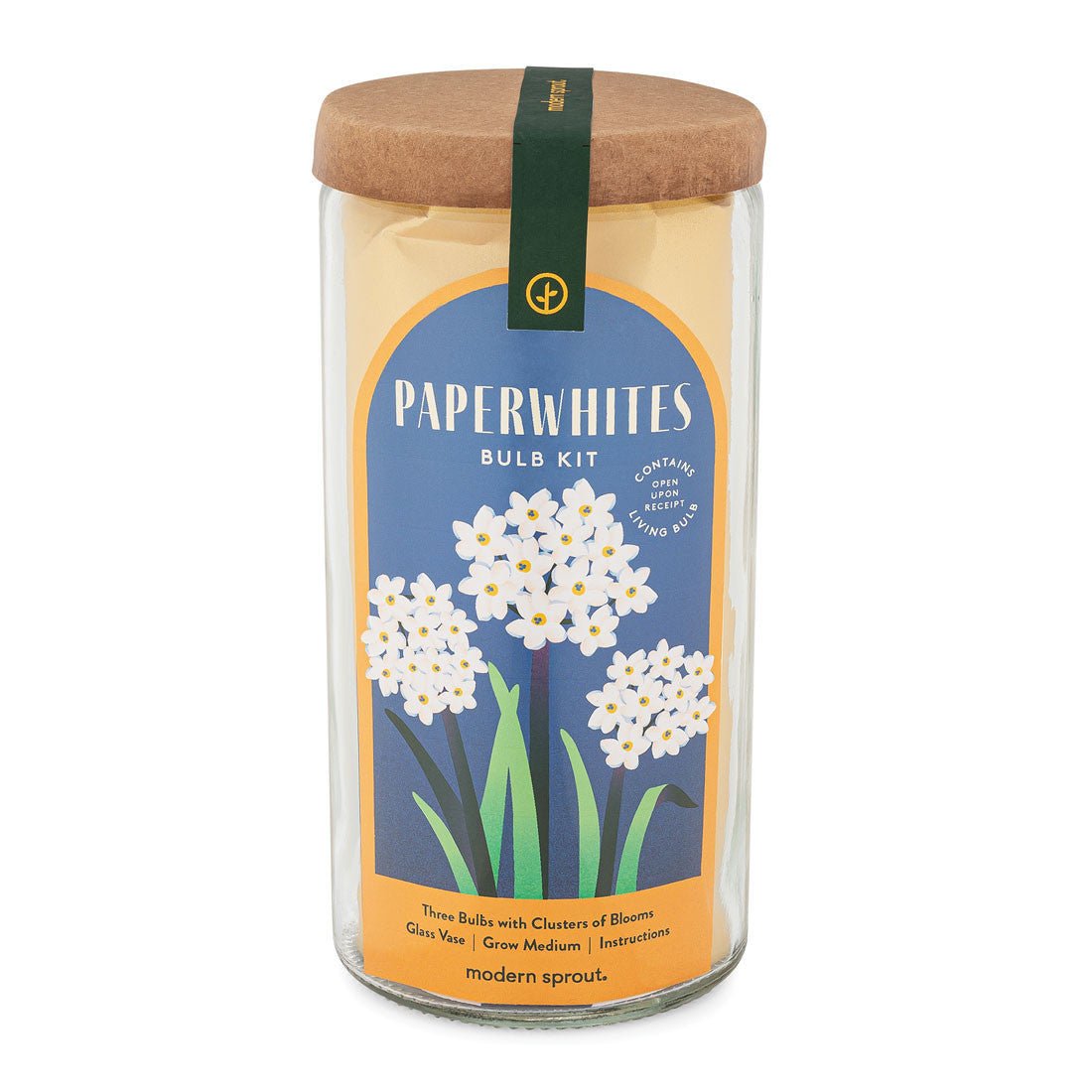 Paperwhites Winter Bulb Kit option3