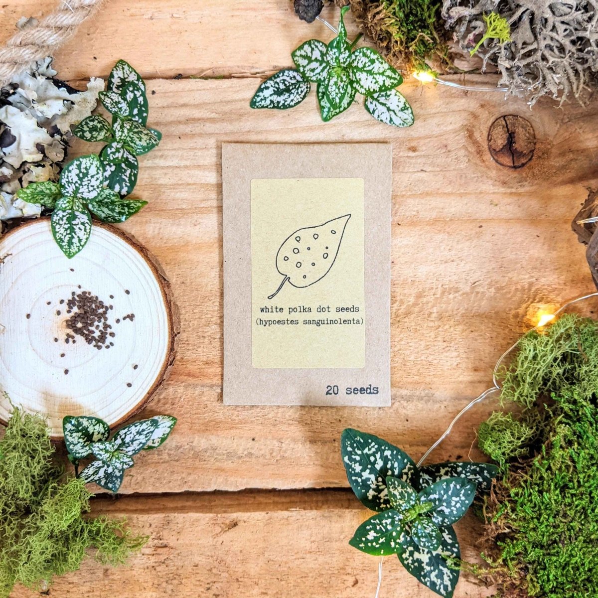 Pet-Friendly Houseplant Seed Collection