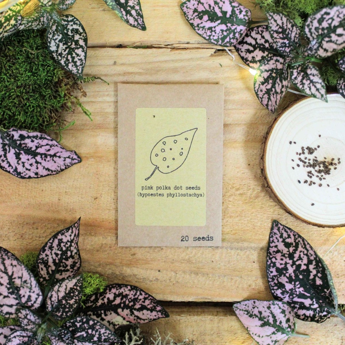Pet-Friendly Houseplant Seed Collection