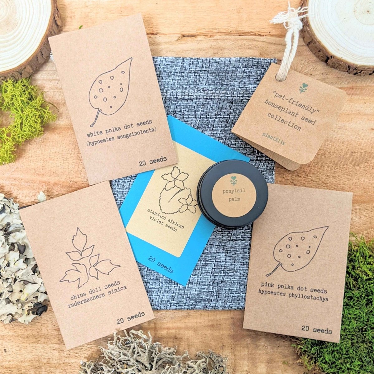 Pet-Friendly Houseplant Seed Collection