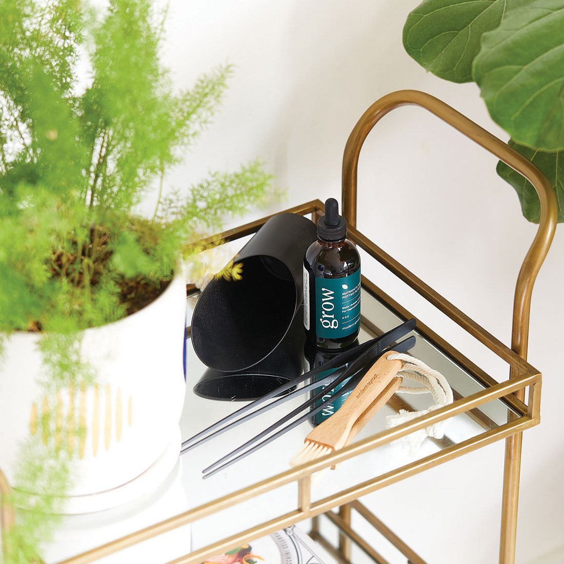 Plant Parent Botanical Gift Set option3