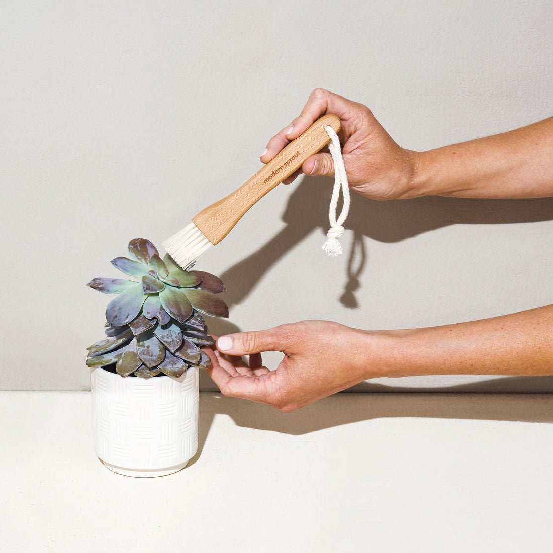 Plant Parent Botanical Gift Set