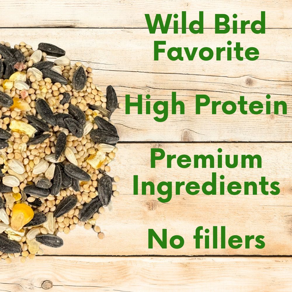 Premium Pollinator & Wild Bird Seed Mix - Flowering Meadow Blend 3 lb Bag