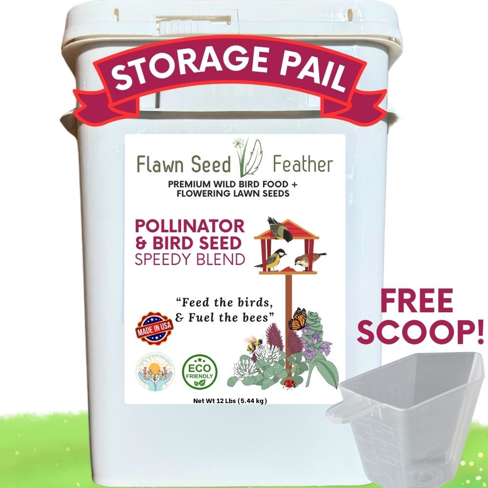 Premium Pollinator & Wild Bird Seed Mix - Speedy Clover Blend 3 lb Bag