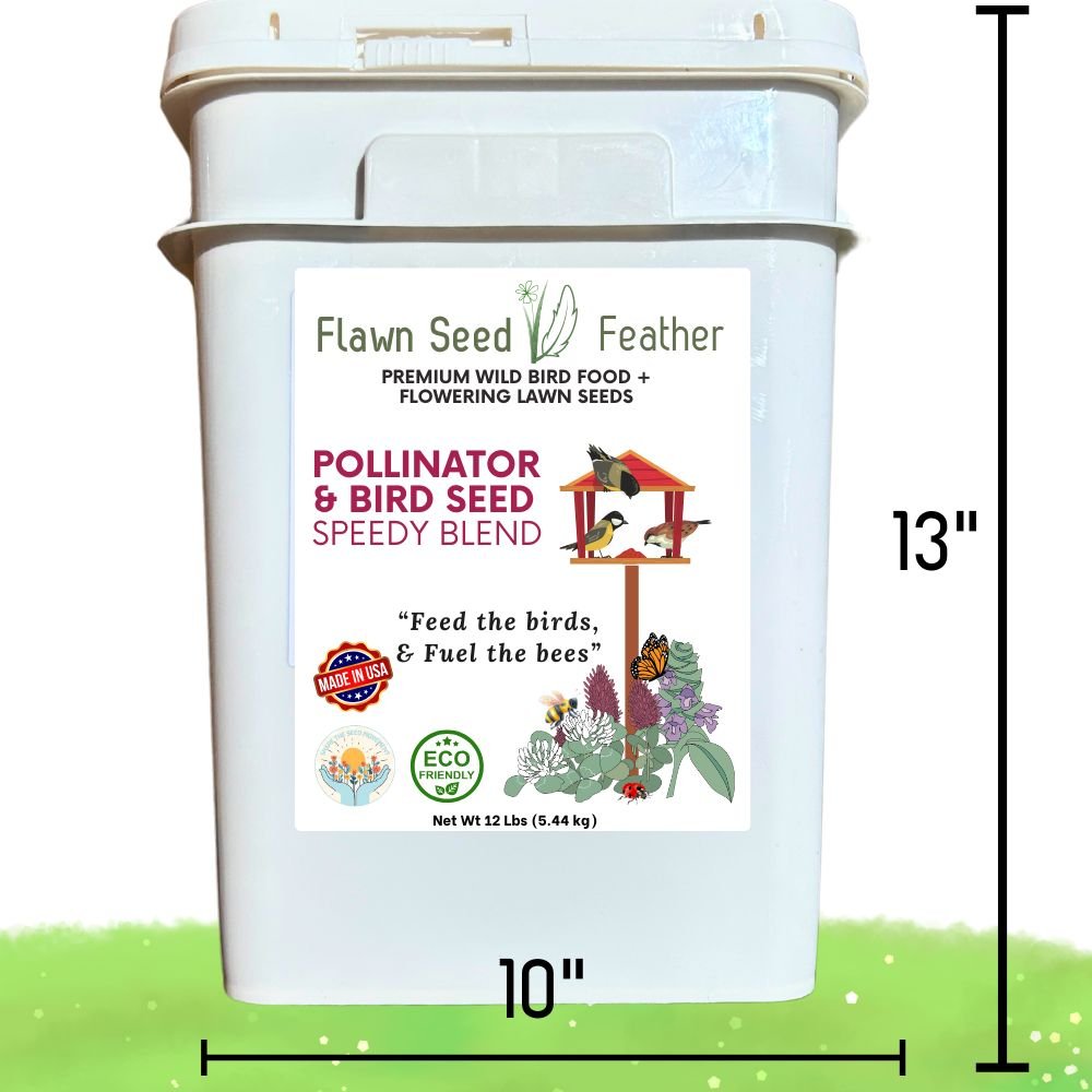 Premium Pollinator & Wild Bird Seed Mix - Speedy Clover Blend 3 lb Bag