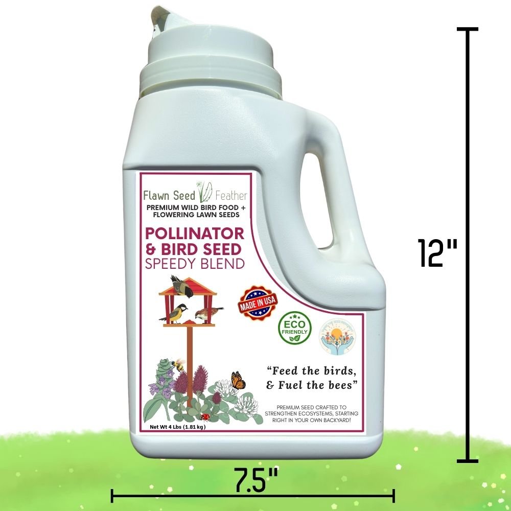Premium Pollinator & Wild Bird Seed Mix - Speedy Clover Blend 3 lb Bag