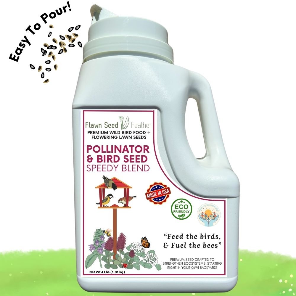 Premium Pollinator & Wild Bird Seed Mix - Speedy Clover Blend 3 lb Bag
