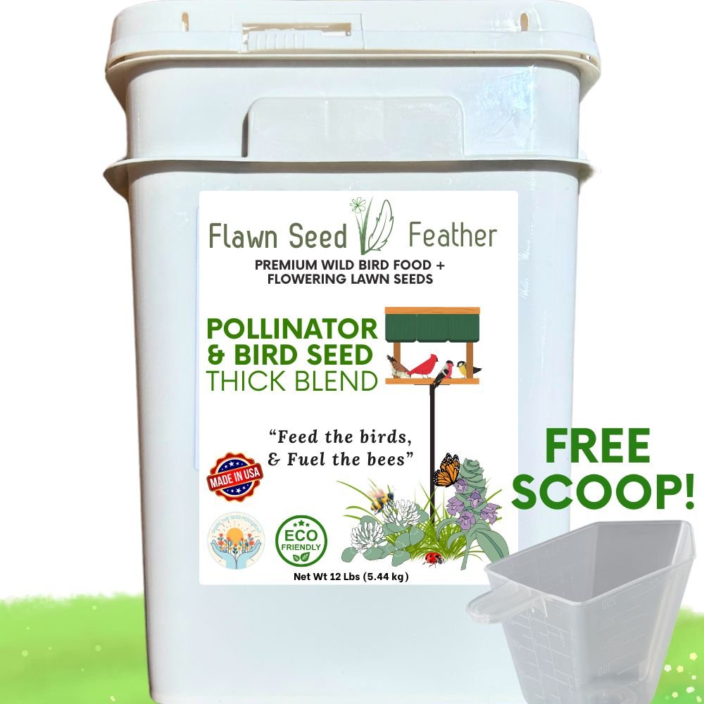 Premium Pollinator & Wild Bird Seed Mix - Thick Bee Lawn Blend 3 lb Bag