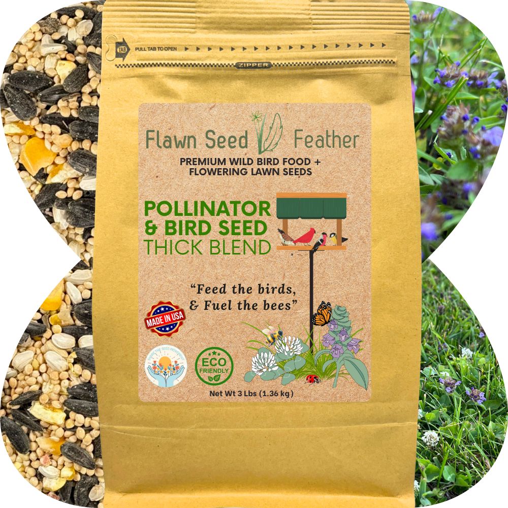 Premium Pollinator & Wild Bird Seed Mix - Thick Bee Lawn Blend 3 lb Bag