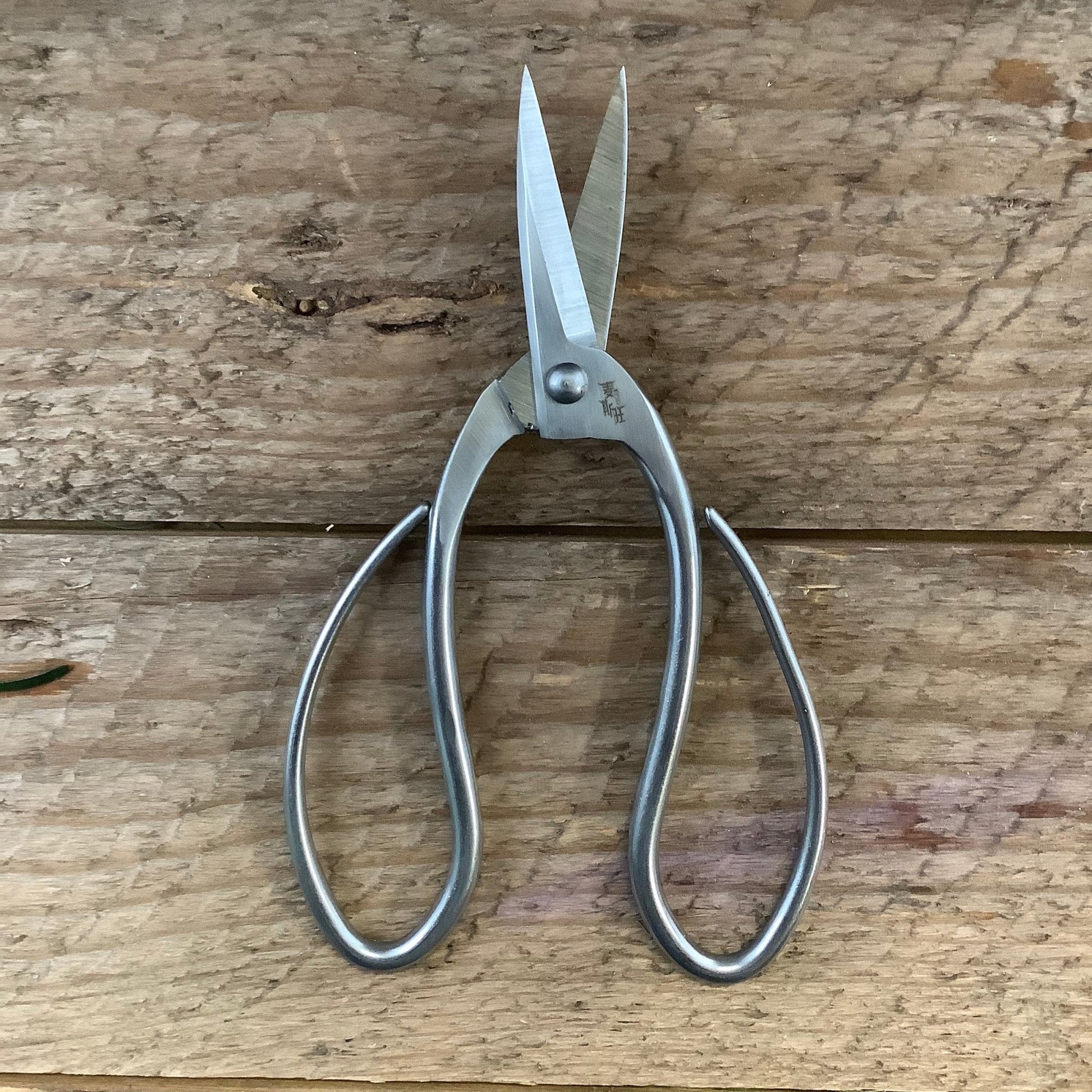 Premium Stainless Steel Garden Scissors