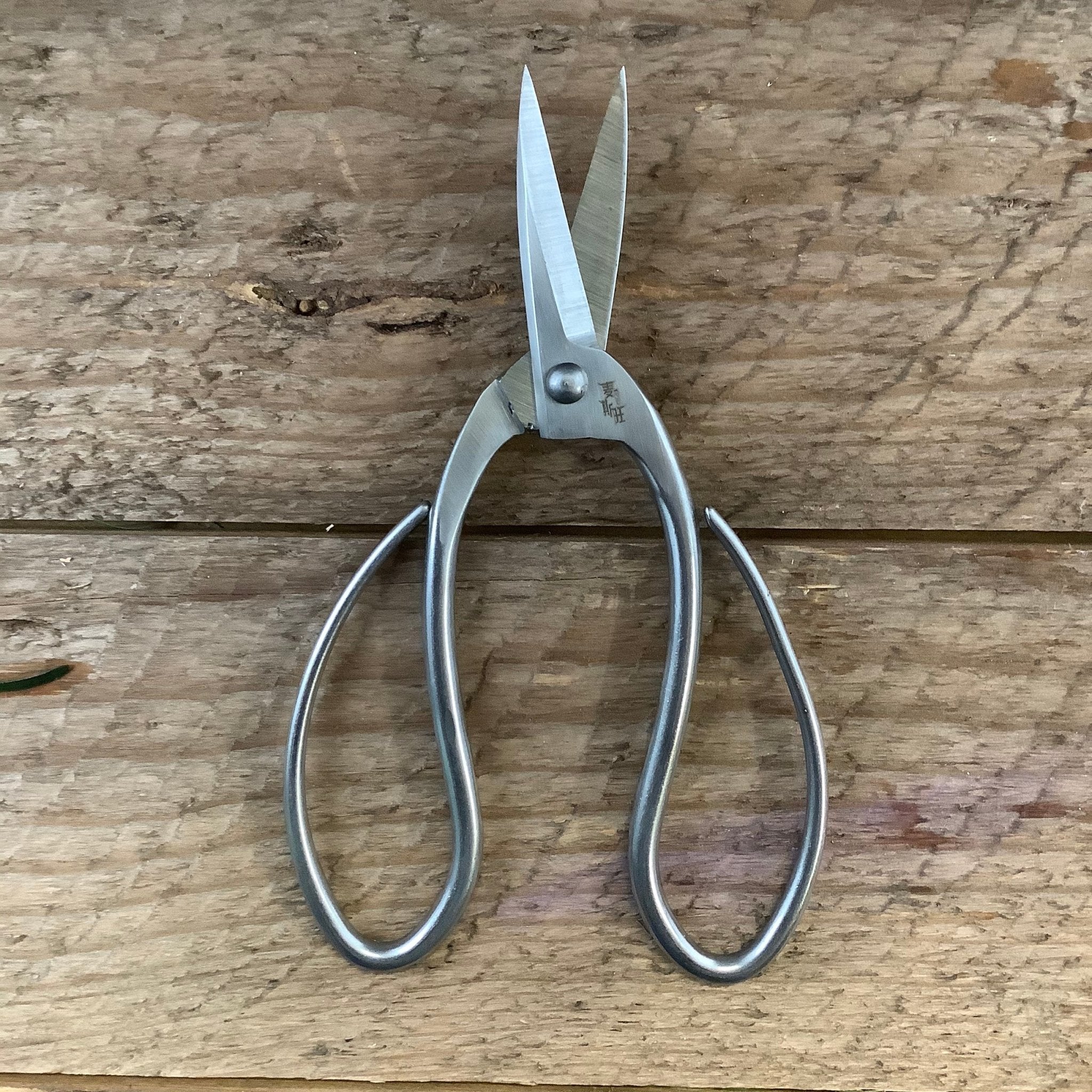 Premium Stainless Steel Garden Scissors