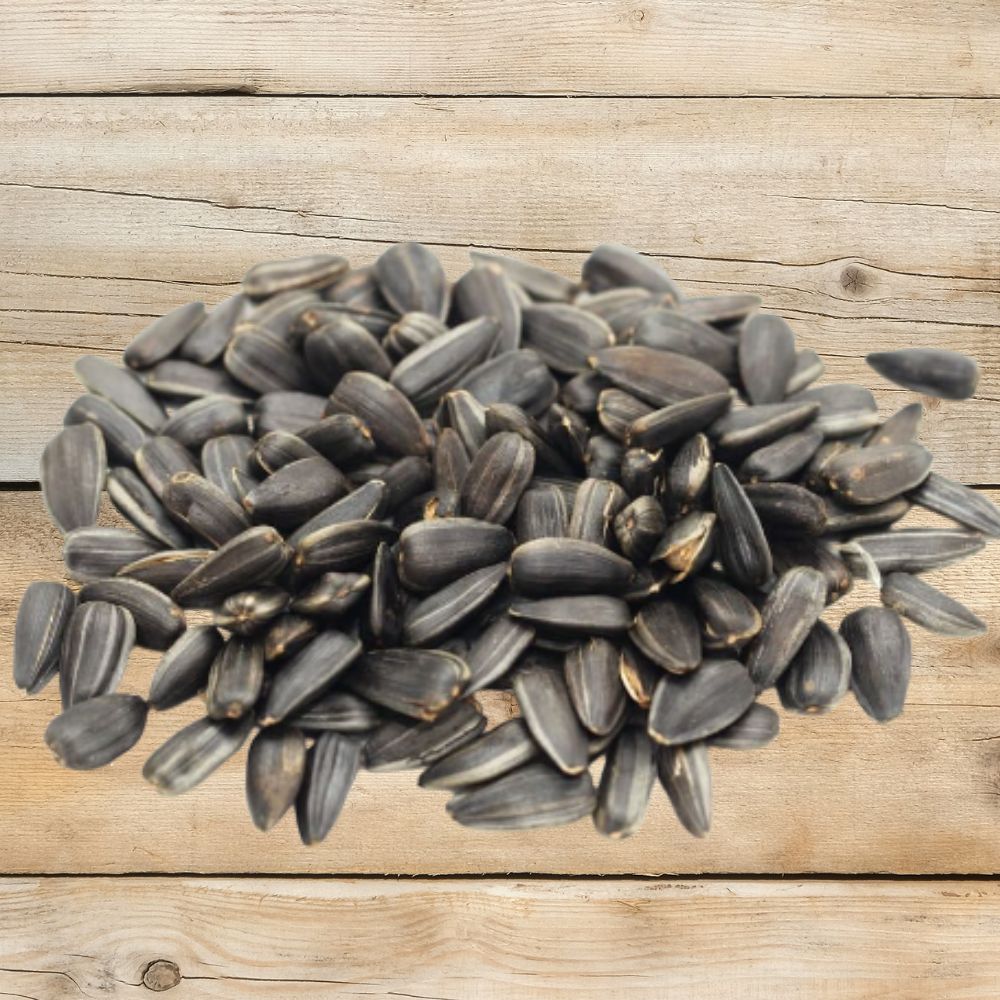 Premium Wild Bird Seed - Black Oil Sunflower 7 lb Pail