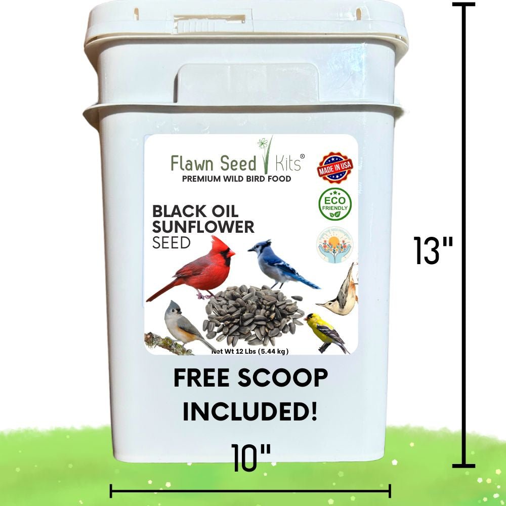 Premium Wild Bird Seed - Black Oil Sunflower 7 lb Pail