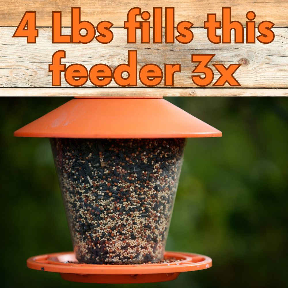 Premium Wild Bird Seed - Songbird Symphony Blend 16 lb Storage Pail