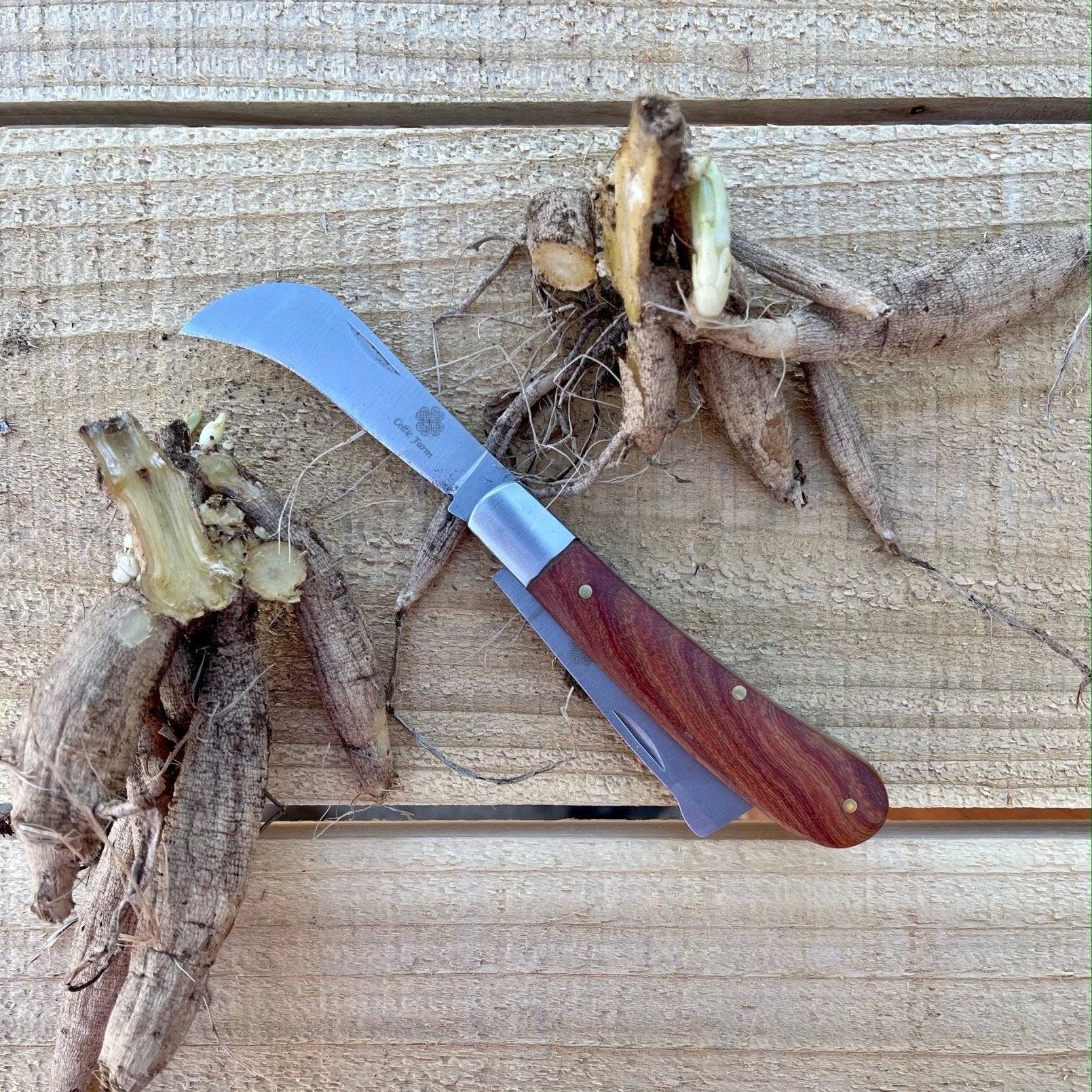 Professional Dual-Blade Stainless Steel Gardener's Knife
