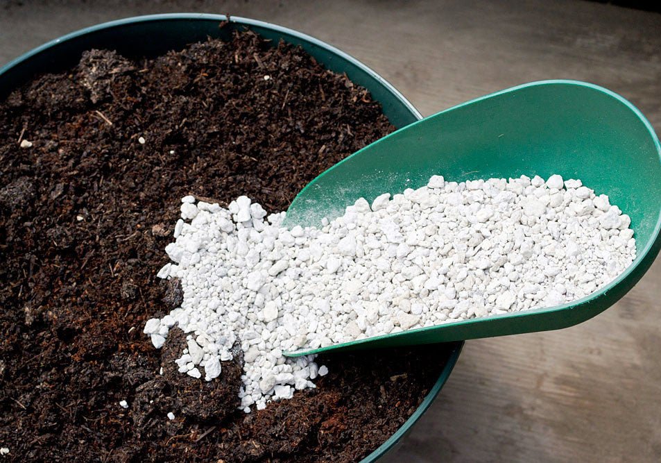 Pumice - 5 Gallons