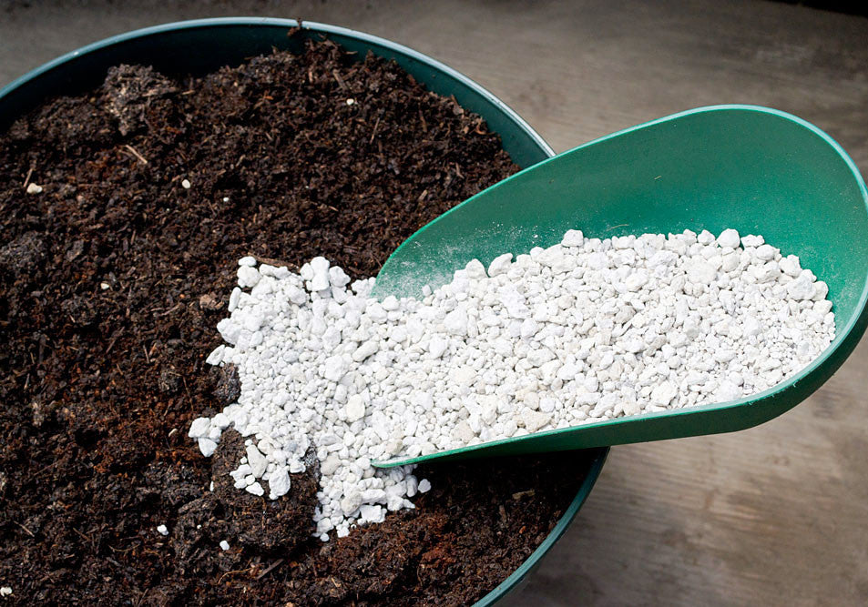 pumice in potting mix Nature's Footprint Pumice Soil amendment, 3-Gallon