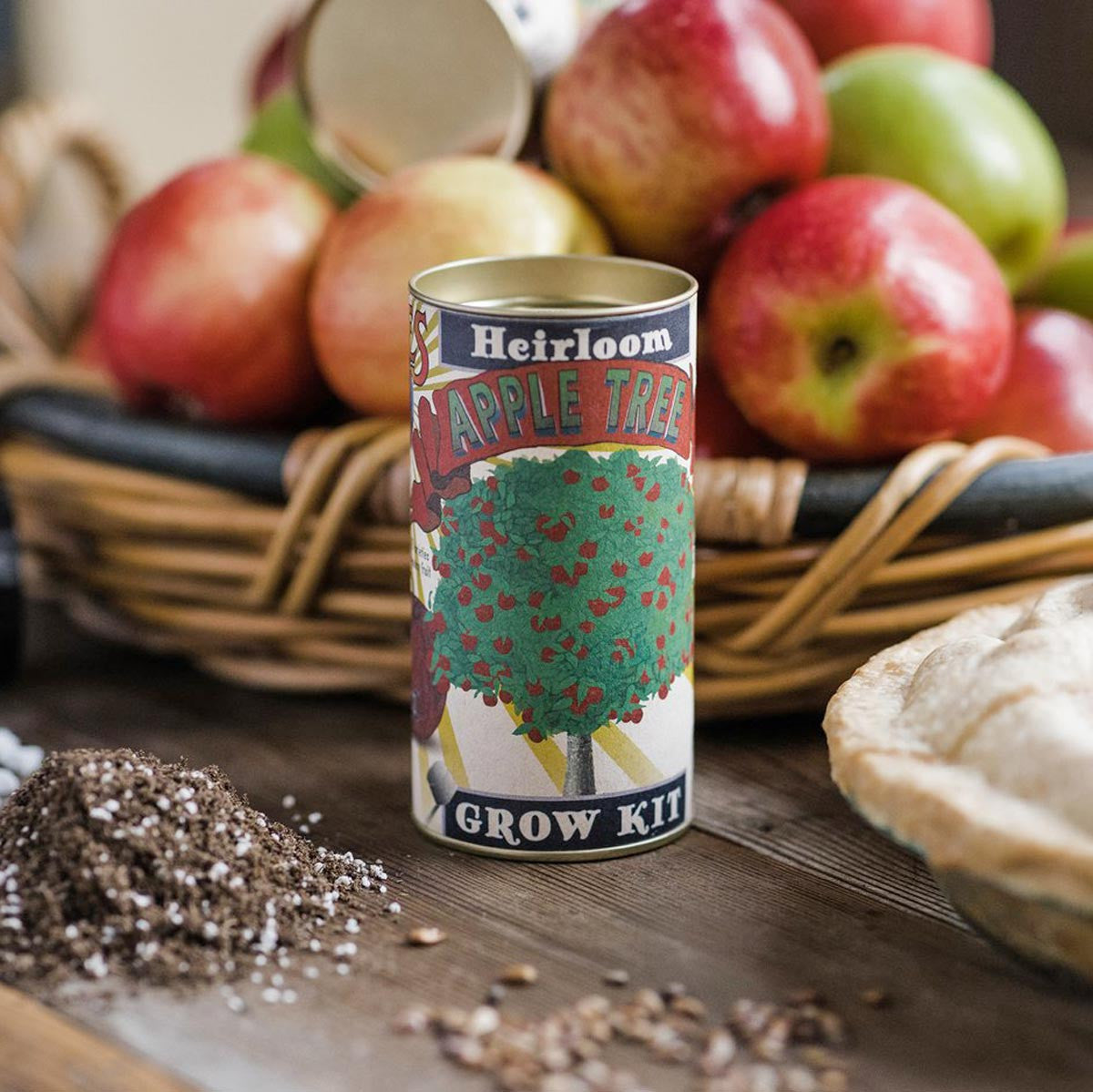 Apple Tree Seed Grow Kit