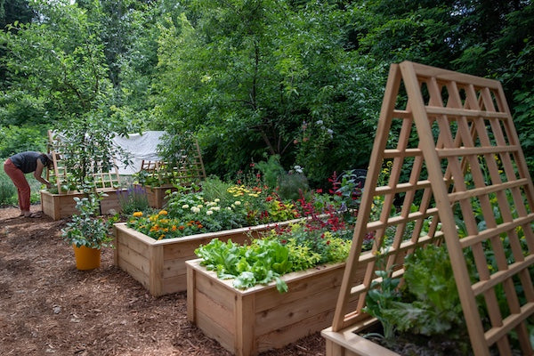 10 <a href="https://eartheasy.com/blogs/grow/easy-planting-plans-for-raised-garden-beds-planters" title="https://eartheasy.com/blogs/grow/easy-planting-plans-for-raised-garden-beds-planters">Easy</a> Planting Plans for Raised Garden Beds & Planters