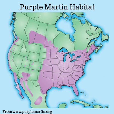 Wooden Purple Martin House