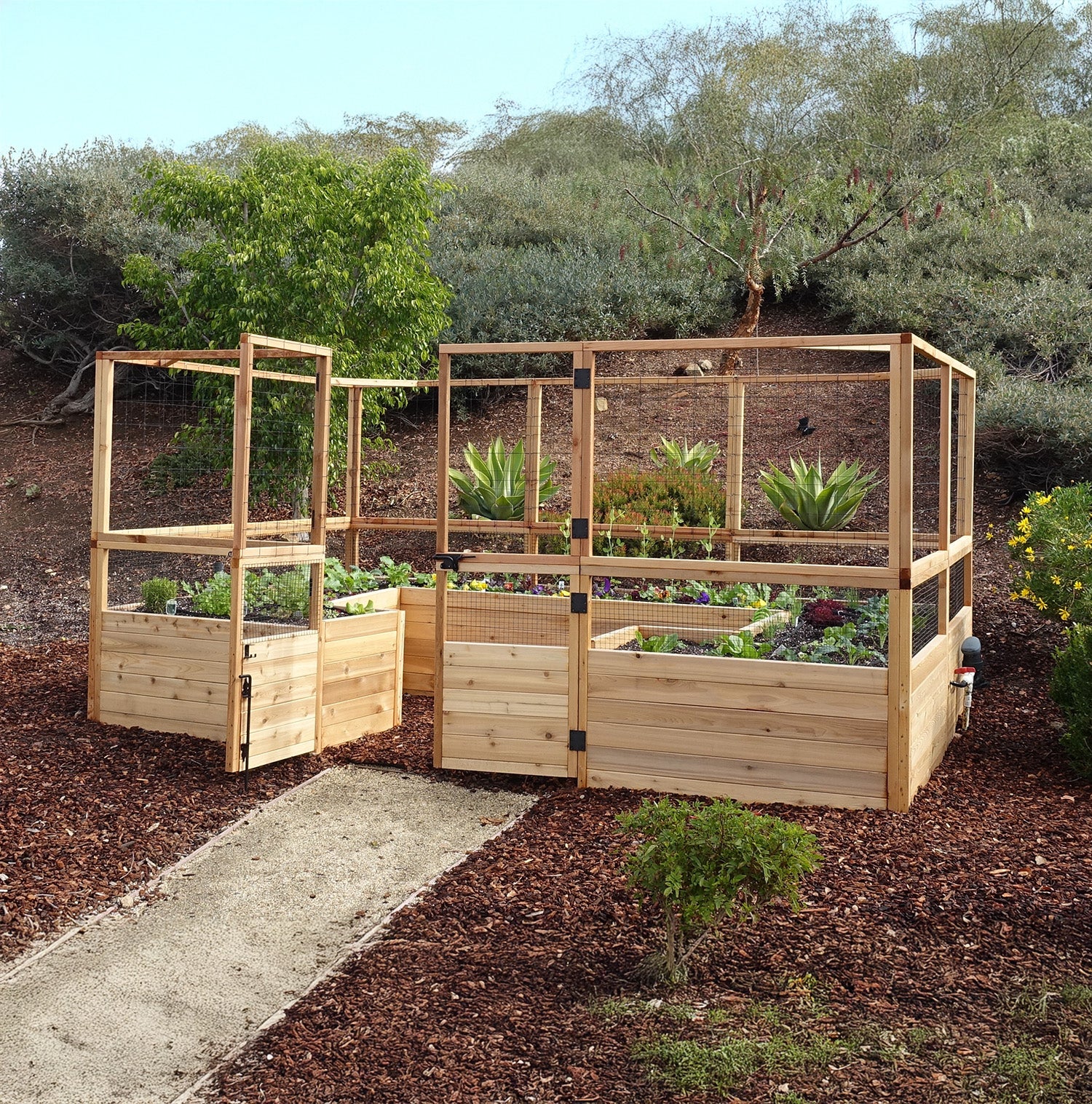 Deer Proof Cedar Complete Raised Garden Bed Kit - 12' x 8'