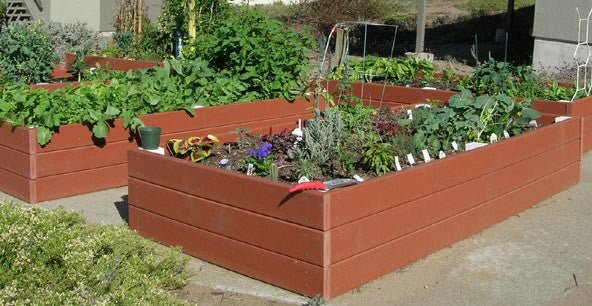 Recycled Plastic Raised Garden Bed 3' x 6' 11" Cedar
