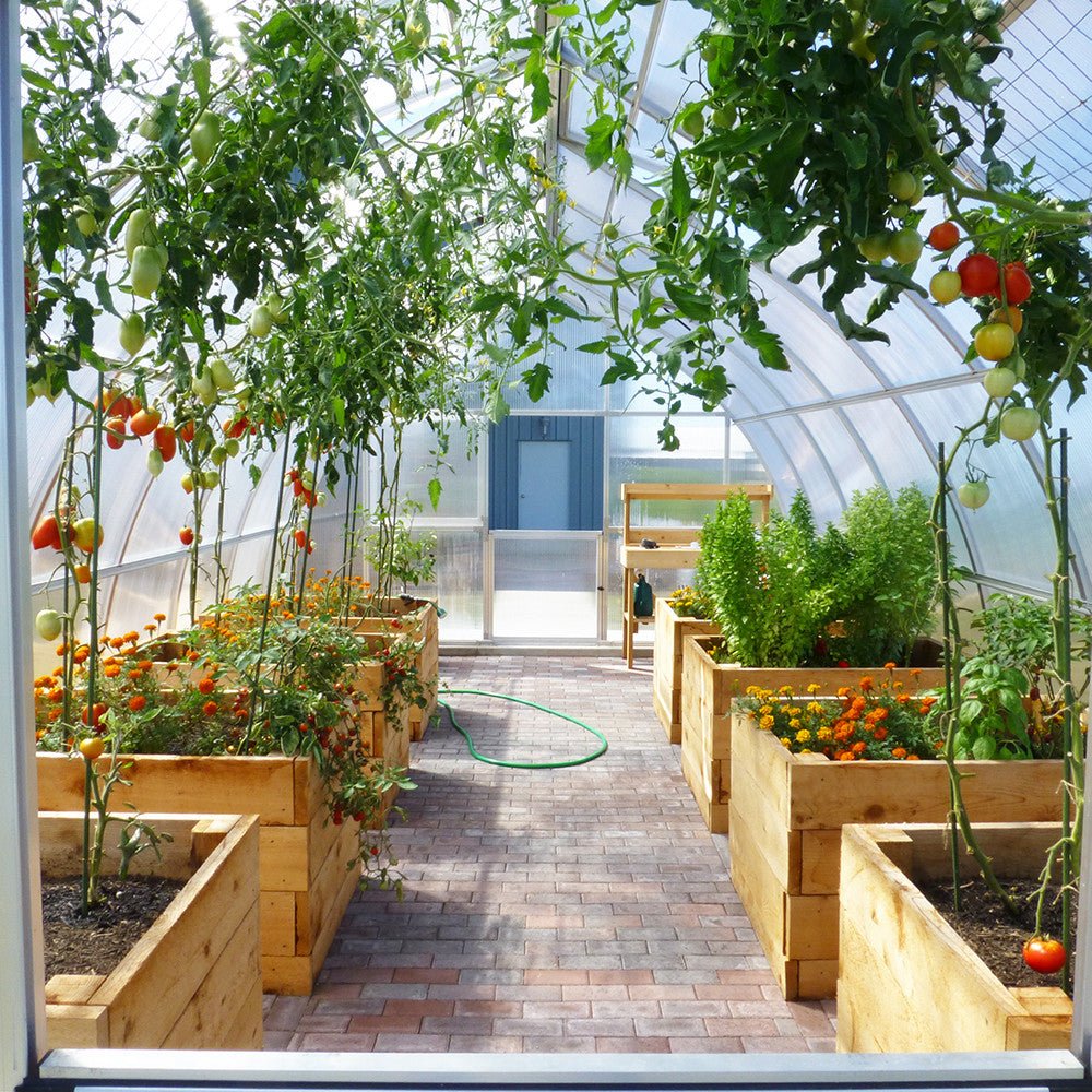 RIGA XL Greenhouse 6 XL - 14'W x 19'1"L Greenhouse Only