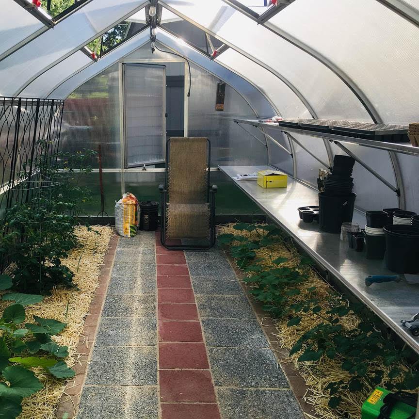 RIGA XL Greenhouse 6 XL - 14'W x 19'1"L Greenhouse Only