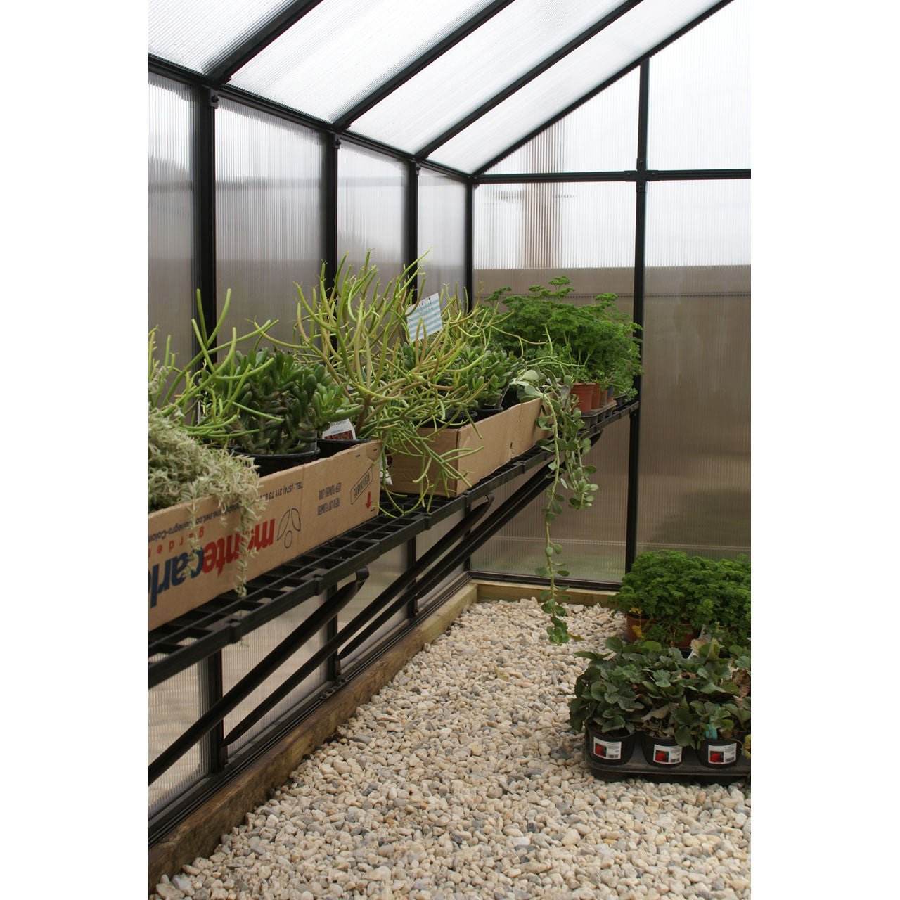 Riverstone MONT Greenhouse 8'x8' Greenhouse Only
