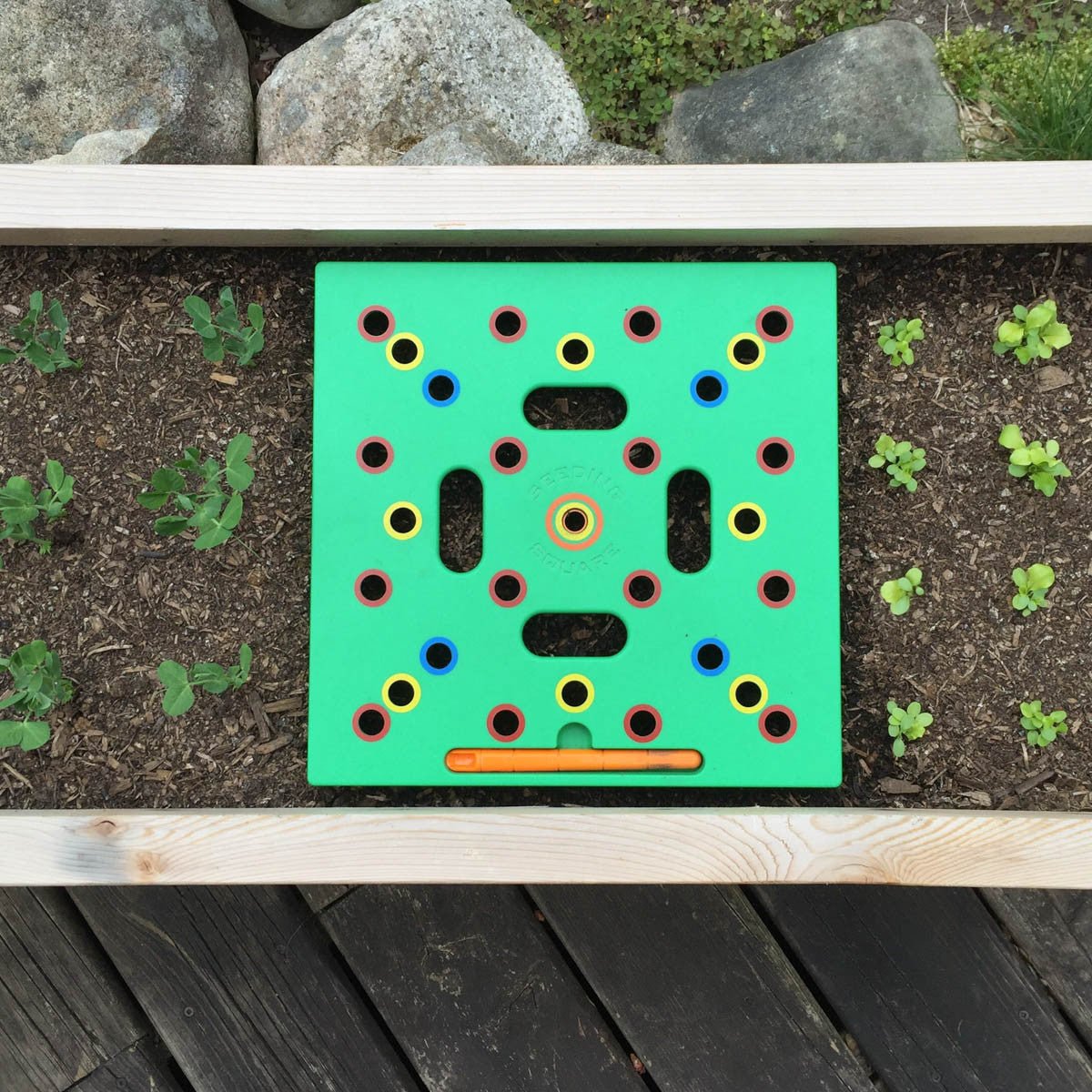 Seeding Square option3