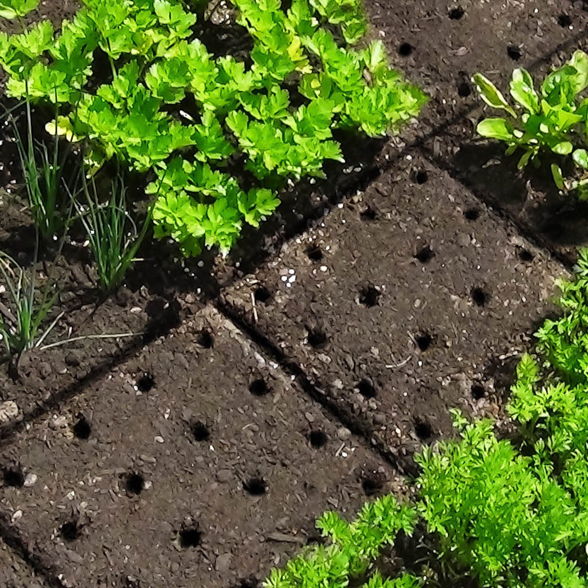 Seeding Square